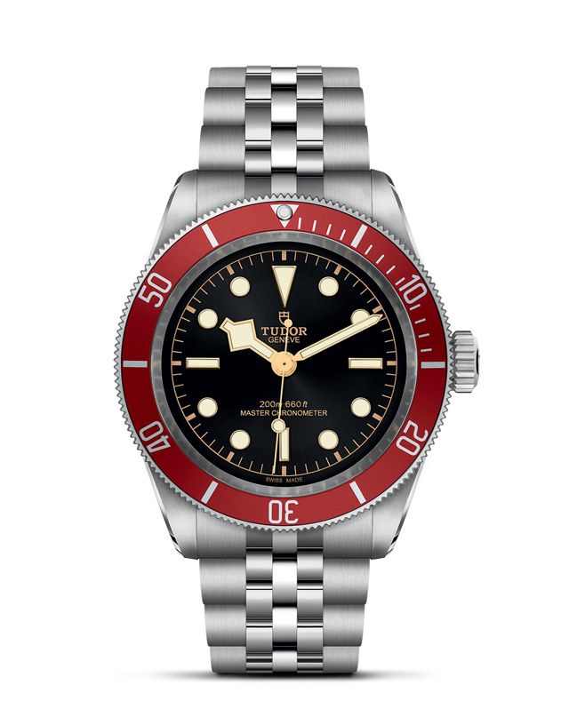 Tudor Black Bay